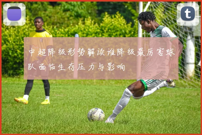 中超降级形势解读谁降级最厉害球队面临生存压力与影响