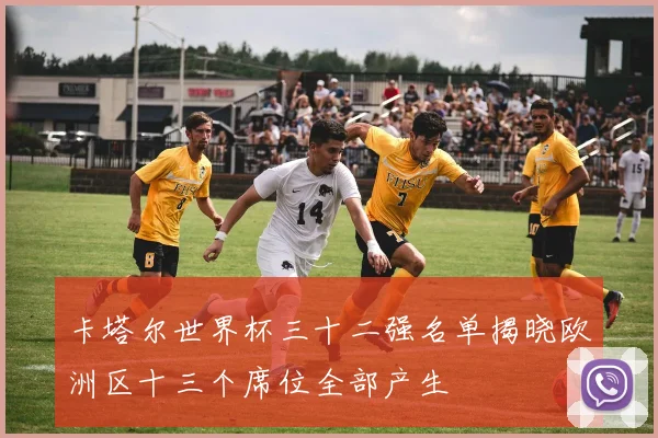 卡塔尔世界杯三十二强名单揭晓欧洲区十三个席位全部产生