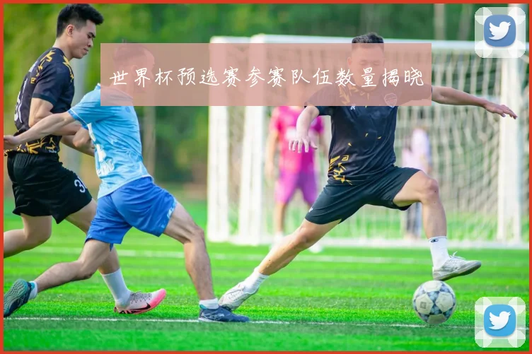 世界杯预选赛参赛队伍数量揭晓