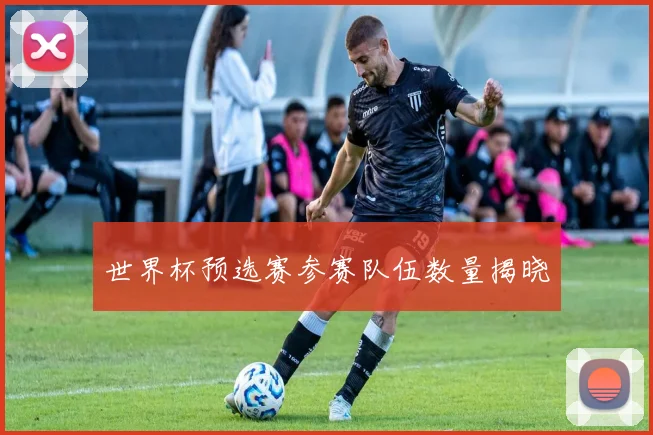 世界杯预选赛参赛队伍数量揭晓