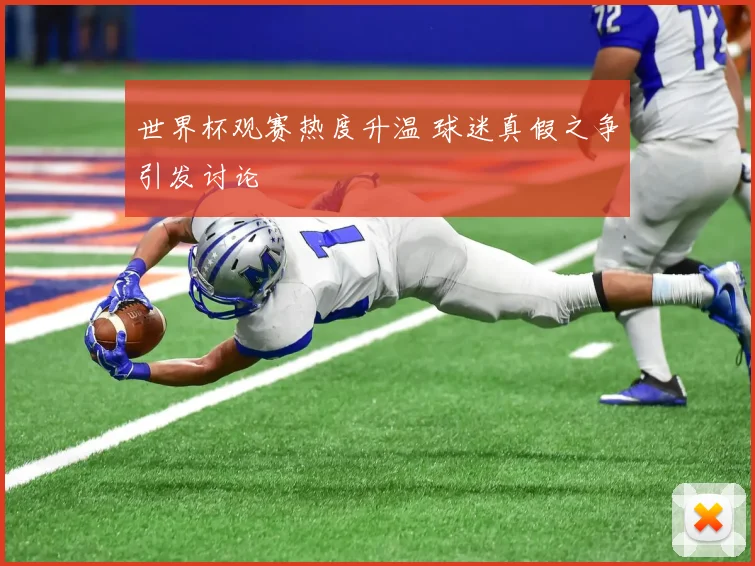 世界杯观赛热度升温 球迷真假之争引发讨论
