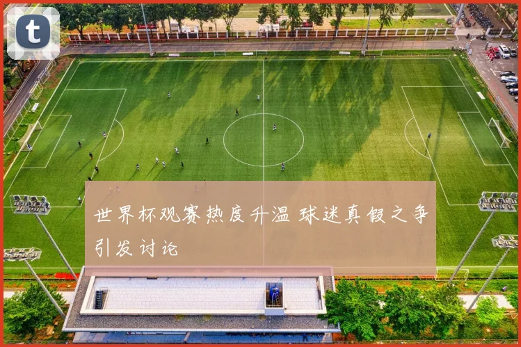 世界杯观赛热度升温 球迷真假之争引发讨论