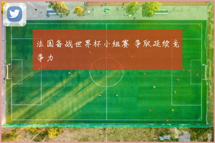 法国备战世界杯小组赛 争取延续竞争力