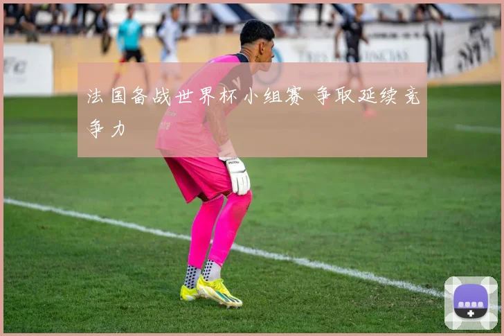 法国备战世界杯小组赛 争取延续竞争力