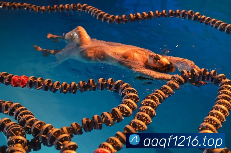 世界杯足球赛官网APP 封面图